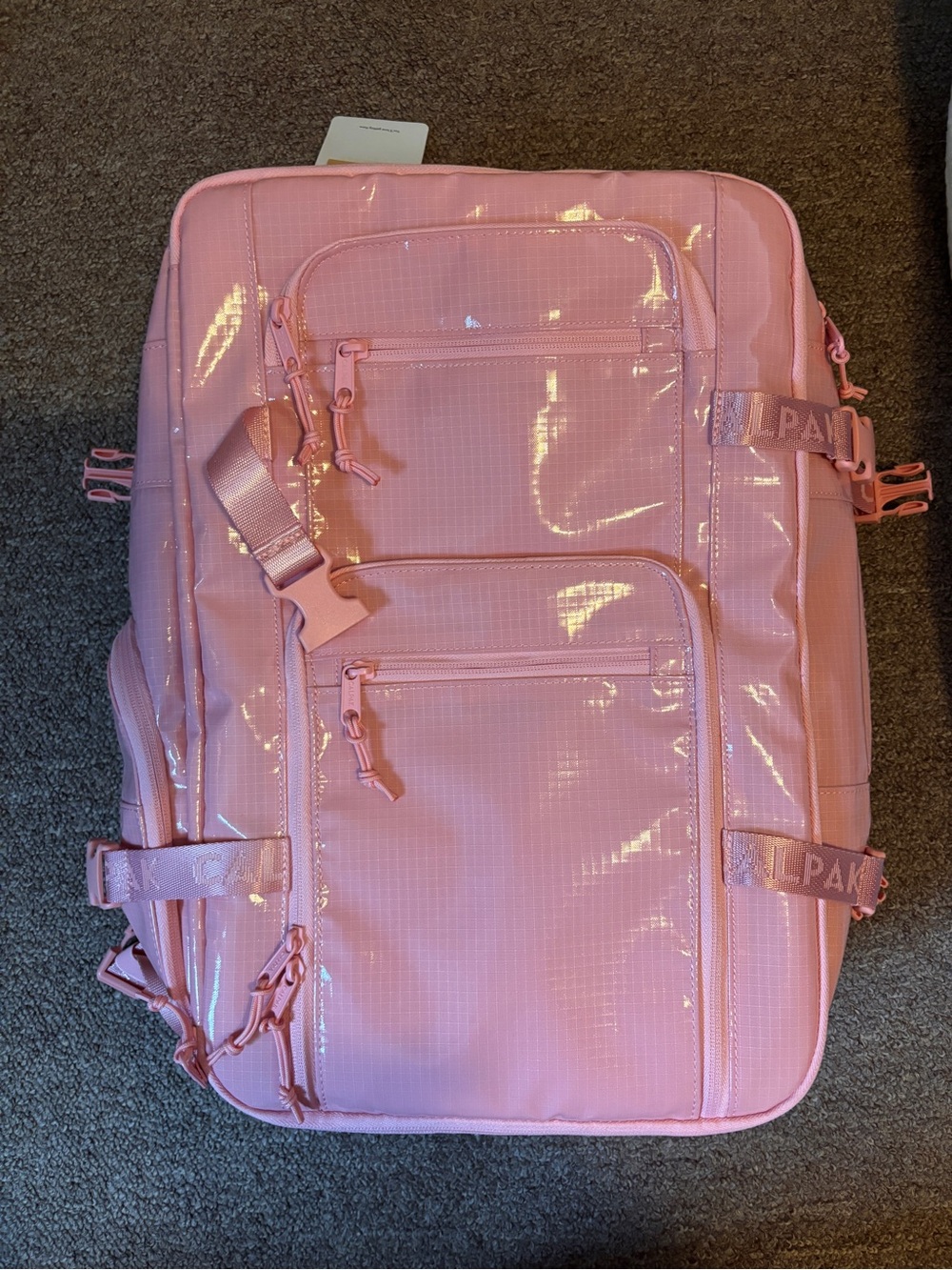 Calpak Pink Glossy Travel Backpack